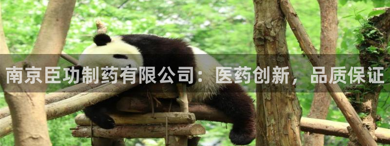 ag九游会老哥:南京臣功制药有限公司:医药创新,品质保证