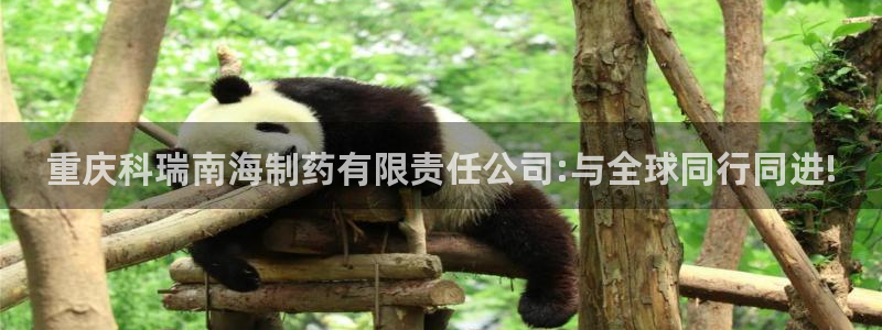 九游会老哥俱乐部官方网站:重庆科瑞南海制药有限责任公司:与全