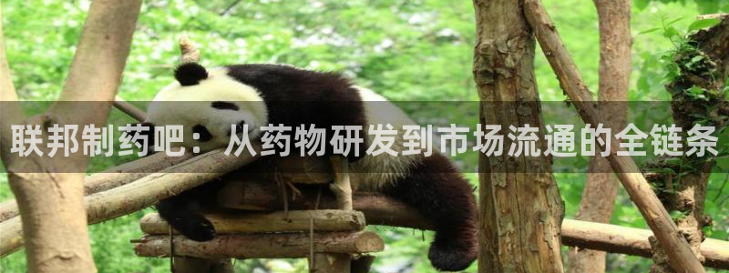 usdt九游会老哥俱乐部:联邦制药吧:从药物研发到市场流通的
